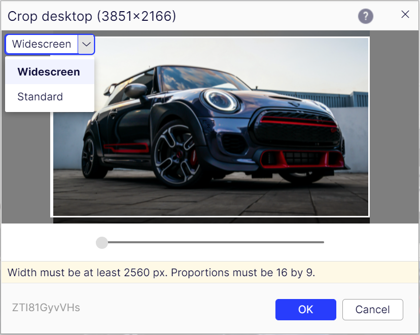Screenshot of cropping an image using Adaptive Images for Optimizely