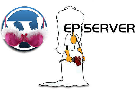 EPiServer versus WordPress